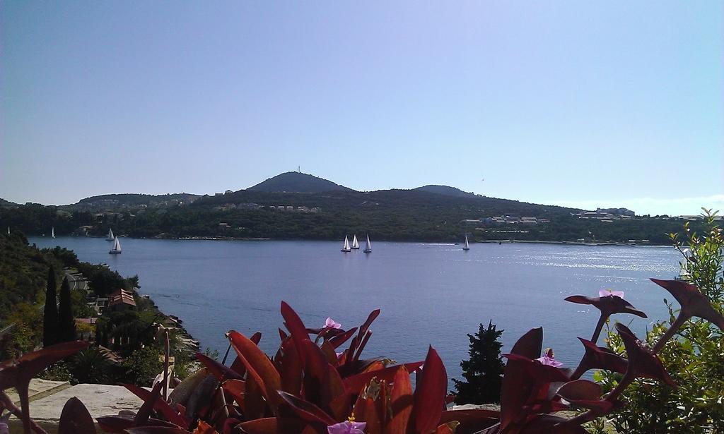 Apartments Anamaria Dubrovnik Rom bilde