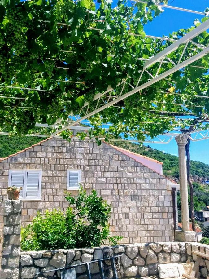 Apartments Anamaria Dubrovnik Eksteriør bilde