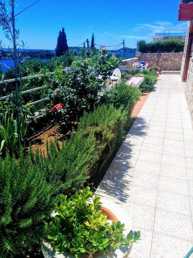 Apartments Anamaria Dubrovnik Eksteriør bilde