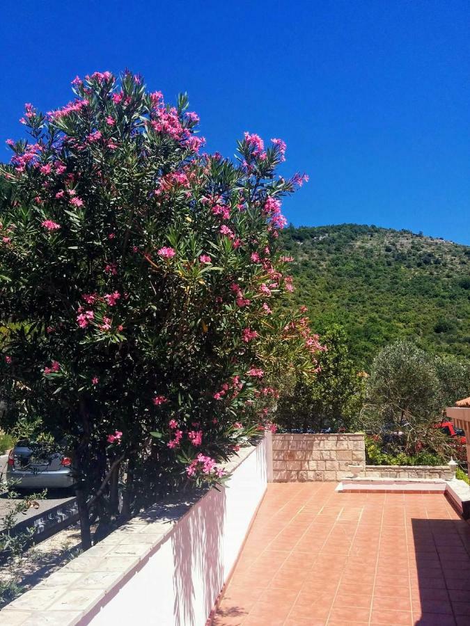 Apartments Anamaria Dubrovnik Eksteriør bilde